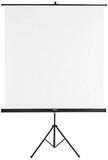 Hama Stativleinwand (Format 1:1 (155 x 155 cm), mit Stativ)