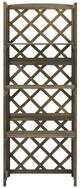 vidaXL Rankgitter, Spalier mit Ablagen Grau 55x30x140 cm Massivholz Tanne