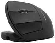 contour Maus