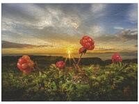 HEYE Puzzle Maulbeere Sporen Puzzle 1000 Teile, Puzzleteile