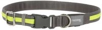 Kerbl Hunde-Halsband Kerbl Light & Reflex Leuchthalsband gelb, S/M, 80027