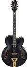 Ibanez Halbakustik-Gitarre, Halb-Akustik Gitarren, Hollow-Body Modelle, Pat Metheny