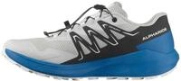 Salomon ALPHARIDE Trailrunningschuh wasserdicht