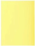 EXACOMPTA Organisationsmappe 5x 100er Aktendeckel SUPER 160 24x32cm -...