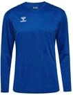 hummel Kapuzenpullover Hmlauthentic Pl Jersey L/S