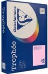CLAIREFONTAINE Kopierpapier Clairfontaine Farbiges Kopierpapier 'Trophee' 80 g