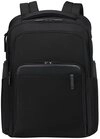 Samsonite Laptoprucksack EVOSIGHT, separates Laptopfach