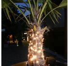 MARELIDA LED-Lichterkette LED Solar Lichterkette Draht 50 LED 4,9m Sensor Au&szlig;en
