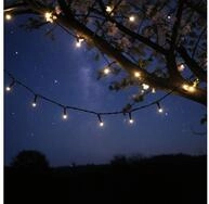 Nedis LED-Lichterkette SmartLife LED Lichterkette 5m, App- & Sprachsteuerung,...