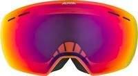 Alpina Sports Skibrille Alpina Granby MM Skibrille