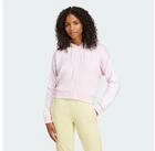 adidas Sportswear Hoodie ESSENTIALS 3-STREIFEN FRENCH TERRY KAPUZENJACKE (1-tlg)