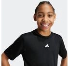 adidas Sportswear T-Shirt TRAIN ESSENTIALS LOGO REGULAR FIT KIDS