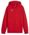 PUMA Hoodie teamGOAL Casuals Hoody Jr