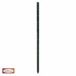 Bellissa Rankhilfe Bellissa Pflanzstab Timo &Oslash; 3 x 100 cm gr&uuml;n