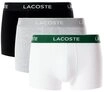 Lacoste Trunk (Packung, 3er) mit Lacoste-Schriftzug am Bund