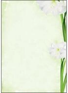 Sigel Briefpapier Motivpapier Green Flower Motiv DIN A4 90 g/qm 25 Blatt