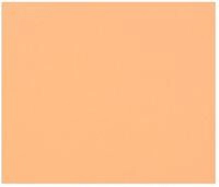 CLAIREFONTAINE Fotopapier Zeichenpapier Tulipe A3 160g, Packung mit 50 Blatt...
