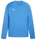 PUMA Fleecepullover Puma Herren Pullover teamGOAL Training Sweat 658649