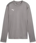 PUMA Sweater PUMA teamGOAL Training Sweatshirt Damen Damen