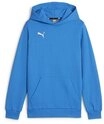 PUMA Hoodie teamGOAL Casuals Hoody Jr