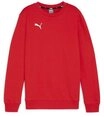 PUMA Hoodie teamGOAL Casuals Crew Neck Sweat Jr