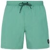 Protest Badeshorts Faster (1-St)