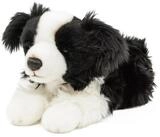 Teddys Rothenburg Kuscheltier Hund Border Collie 30 cm liegend schwarz/wei&szlig;