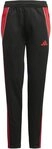 adidas Sportswear Sporthose TIRO24 TRPNT SY