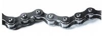 CAMPAGNOLO Fahrradkette