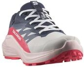 Salomon ALPHAGLIDE GORE-TEX W Trailrunningschuh wasserdicht
