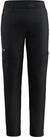 Salewa Funktionshose Hose PUEZ TALVENO DST 2/1 PANT