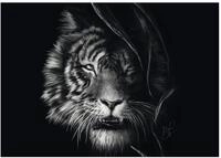 Schmidt Spiele Puzzle 1000 Teile Puzzle Ashley Rader Wilderness Tiger Freiheit...