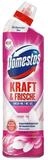 DOMESTOS Floral Fresh WC-Reiniger (750 ml)