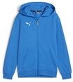 PUMA Hoodie teamGOAL Casuals Hooded Jacket Jr