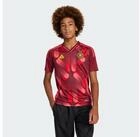 adidas Performance Fu&szlig;balltrikot DFB 25 (FRAUENTEAM) AUSW&Auml;RTSTRIKOT (1-tlg)