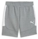 PUMA Sporthose TeamEVOSTRIPE Shorts