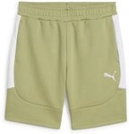 PUMA Sporthose TeamEVOSTRIPE Shorts