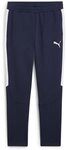 PUMA Sporthose TeamEVOSTRIPE Pants