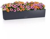 Lechuza&reg; Balkonkasten Balconera Color 100 schiefergrau (Komplettset) grau