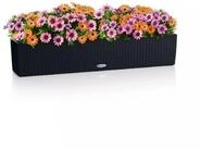 Lechuza&reg; Balkonkasten Balconera Cottage 100 graphitschwarz