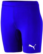 PUMA Trainingstights Puma Herren Tight Liga Baselayer Short Tight 655924