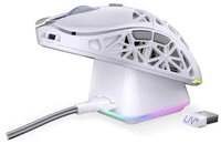 ENDORFY Maus
