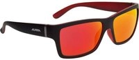 Alpina Fahrradbrille