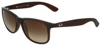 Ray-Ban Sonnenbrille Ray-Ban Andy RB4202 607313 Matte Brown On Brown Brown Dark...