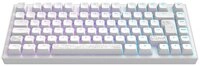 Dark Project ALU81A Terra Nostra White Premium Mechanische Tastatur Aluminium