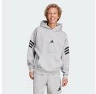 adidas Sportswear Hoodie FUTURE ICONS 3-STREIFEN HOODIE (1-tlg)