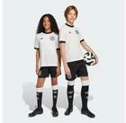 adidas Performance Shorts DFB ANNIVERSARY SHORTS (1-tlg)