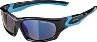 Alpina Sports Sonnenbrille FLEXXY TEEN