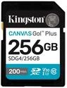 Kingston Kingston Canvas Go! Plus 256GB SDXC, externer Speicher (256 GB GB)