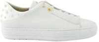 Paul Green Paul Green 5476-048, Sneaker, Wei&szlig;, Damen Sneaker